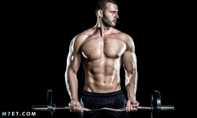 كم يحتاج بناء العضلات من وقت