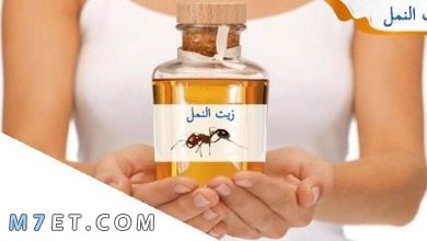Photo of فوائد زيت النمل للمنطقة الحساسة وللنساء