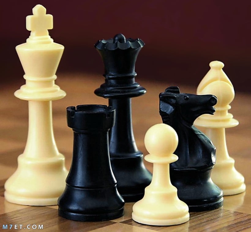 فوائد لعبة الشطرنج