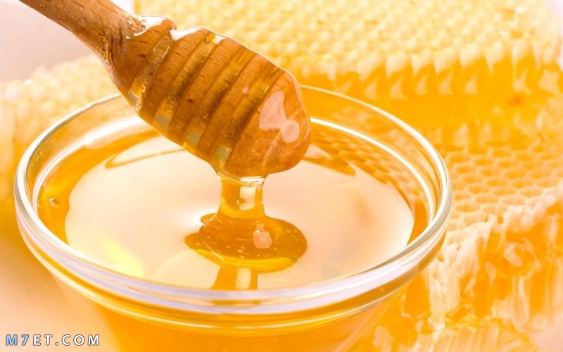أفضل أنواع العسل السدر