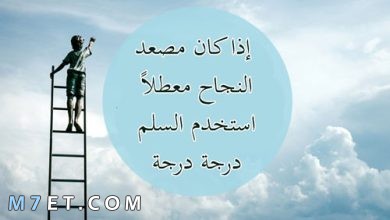 Photo of حكم عن الوصول للقمة | 150 عبارة من اجمل ما قيل عن الوصول للقمة