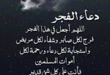 Photo of دعاء بعد صلاة الفجر لقضاء الحوائج