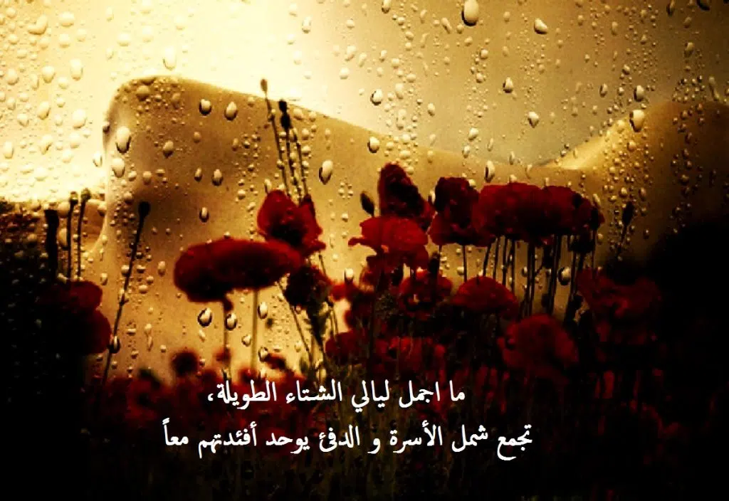 عبارات عن الشتاء
