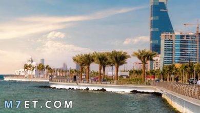 Photo of شواطئ جدة السياحية | أشهر الشواطئ السياحية بجدة وأهم المعلومات عنها
