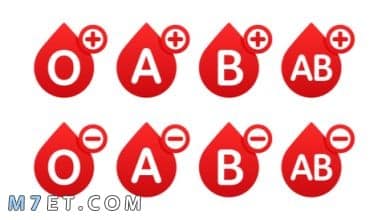 Photo of أهم المعلومات حول اختلاف فصيلة الدم بين الزوجين