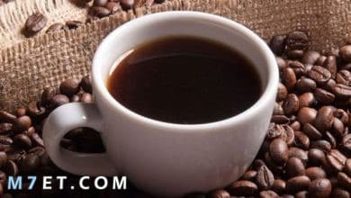 Photo of أهم المعلومات حول القهوة السوداء