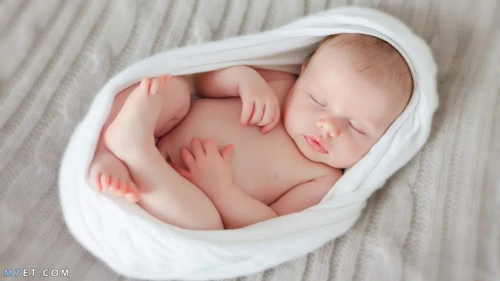 بوستات بمناسبة مولود جديد