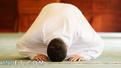 Photo of فرائض الصلاة | ما هي فرائض الصلاة وما هي سننها بالتفصيل