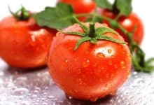 Photo of فوائد الطماطم للرجيم وكمية الطماطم المسموح بها يوميا