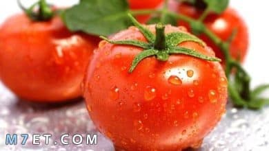 Photo of فوائد الطماطم للرجيم وكمية الطماطم المسموح بها يوميا