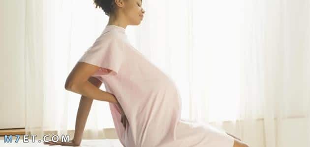 كيف يؤثر الحمل على شكل العمود الفقري