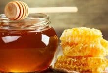 Photo of ما هي افضل انواع العسل في السوق