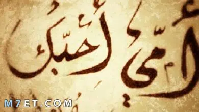 Photo of مقدمة اذاعة مدرسية عن الأم المثالية