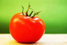 Photo of السعرات الحرارية في الطماطم