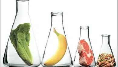 Photo of الكيمياء الغذائية وأهم تطبيقاتها العملية