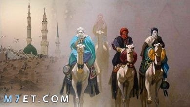 Photo of أسماء الصحابة | كم عدد الصحابة وأسماؤهم وما هي طبقات الصحابة بالتفصيل