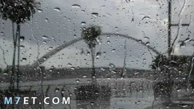 Photo of صور عن المطر 2023 اجمل عبارات وحالات للمطر والشتاء