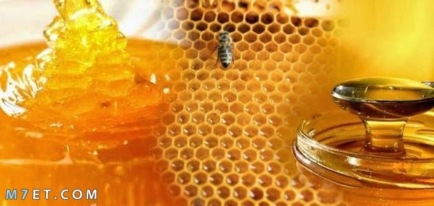 فوائد انواع العسل