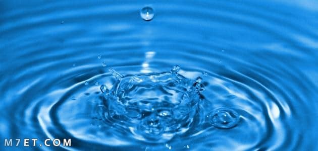 ما هي مصادر الماء