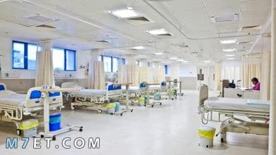 Photo of مدينة الأمير سلطان الطبية بوابة المريض