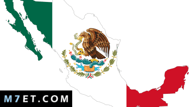 Photo of دولة المكسيك – ما هي أبرز المعلومات العامة عنها وكم عدد سكانها
