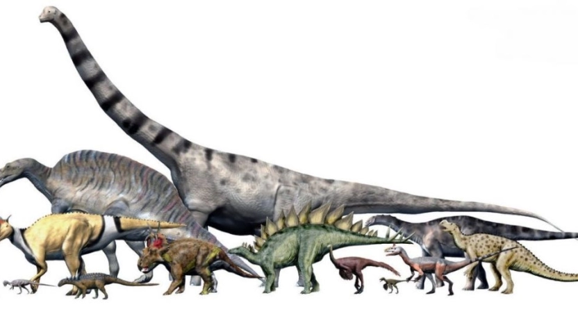 أنواع الديناصورات 