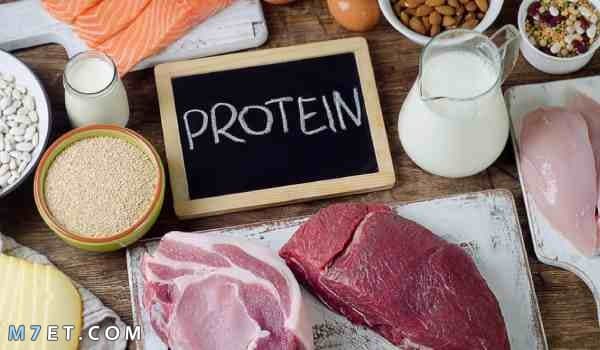 افضل بروتين لزيادة الوزن 
