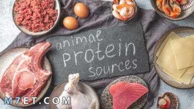 Photo of افضل بروتين لزيادة الوزن 