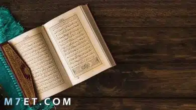 Photo of من هم اكثر الانبياء ذكرا في القرآن