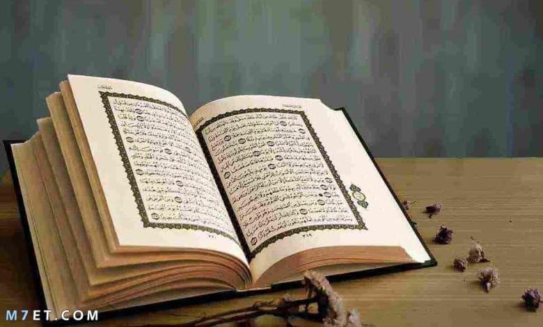 اكثر الانبياء ذكرا في القرآن