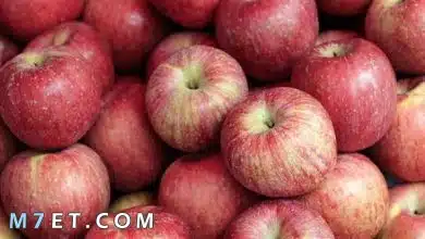 Photo of السعرات الحرارية في التفاح