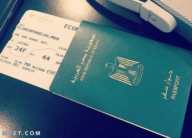 تجديد جواز السفر المصري عن طريق الإنترنت
