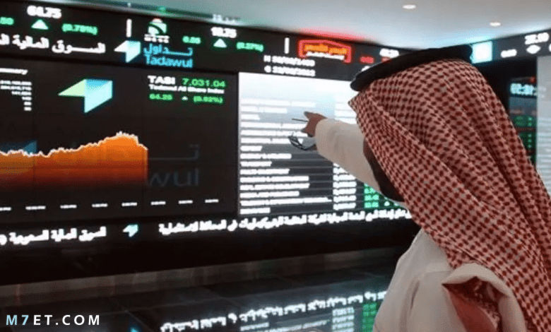 شركات النمو في السوق السعودي