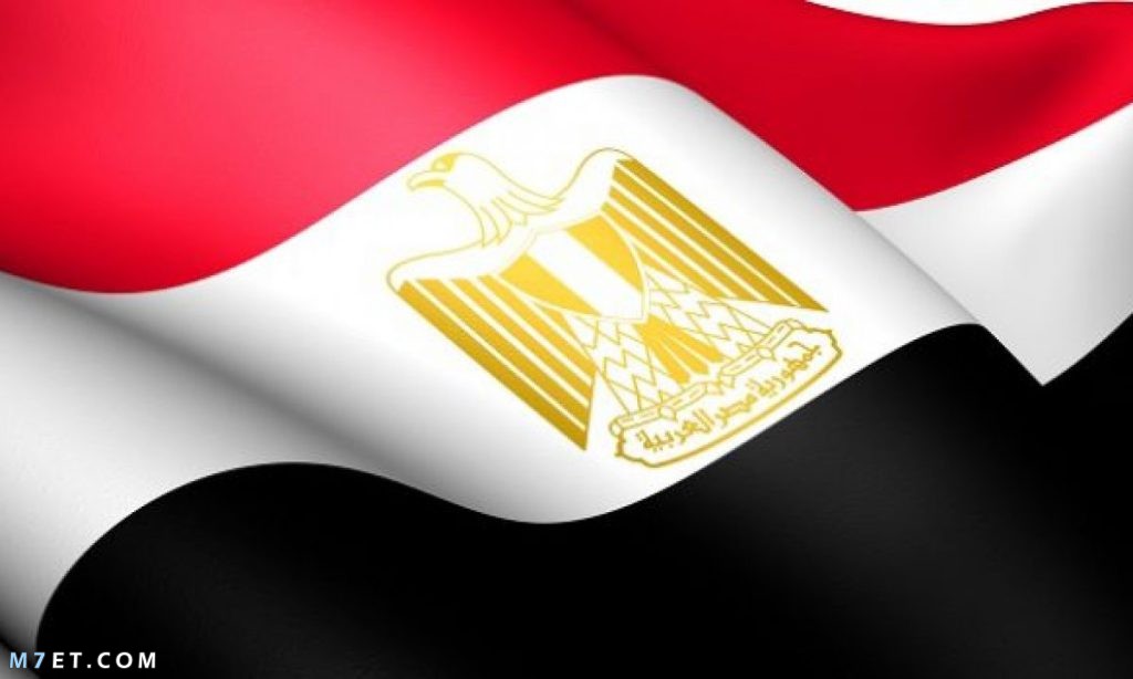 صور علم مصر 2023