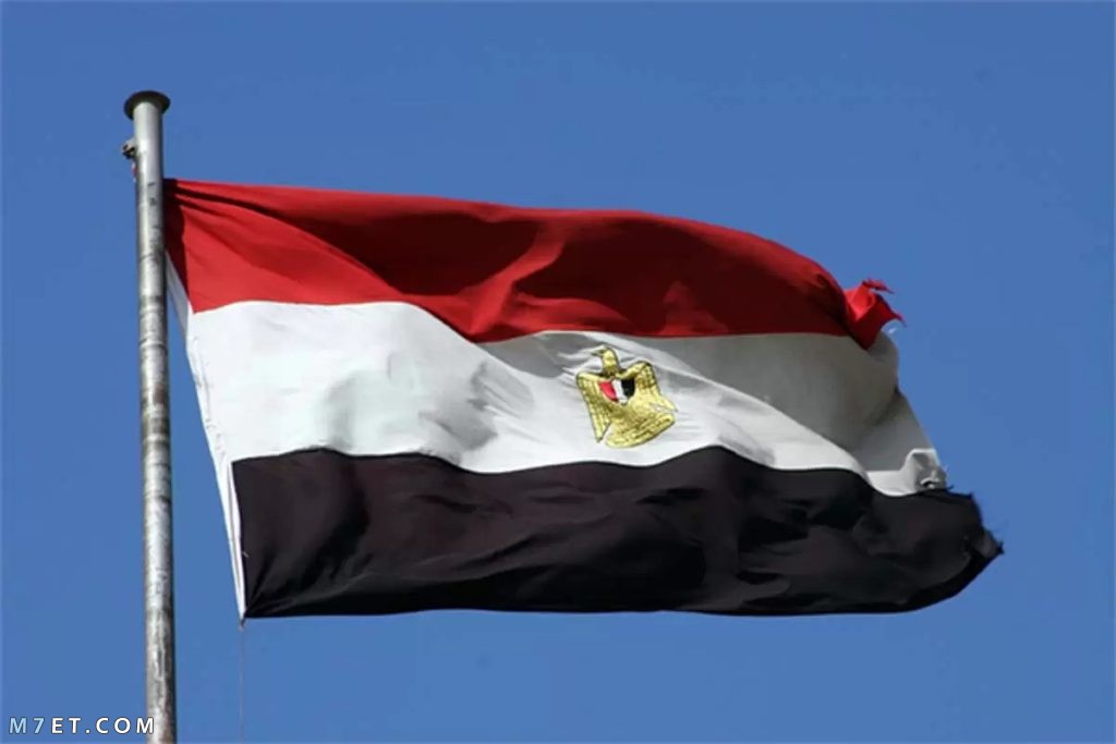 صور علم مصر 2023