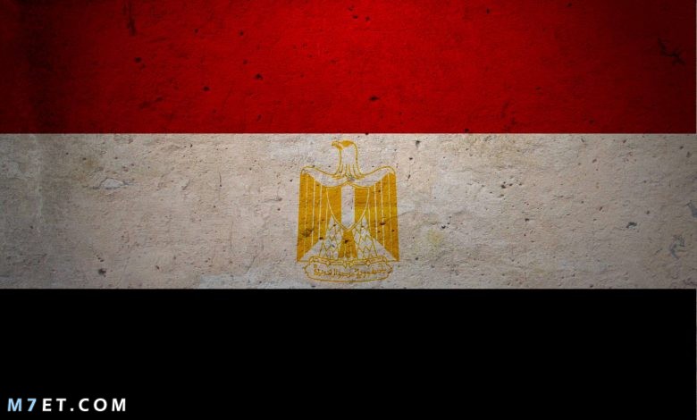 صور علم مصر 2023 واجمل خمس جمل عن مصر