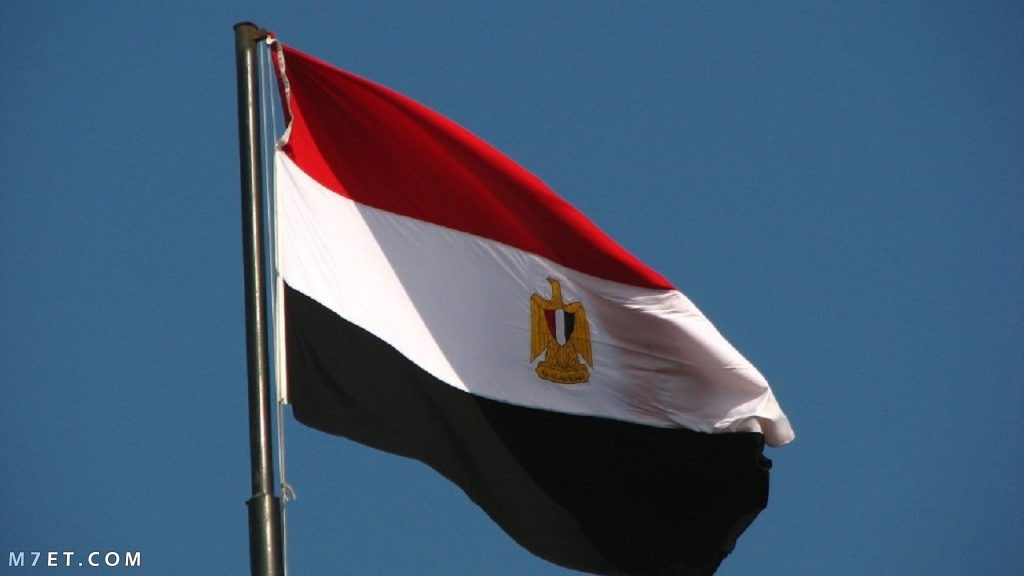 صور علم مصر للفيس بوك وتويتر