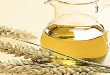 Photo of ما هو زيت جنين القمح