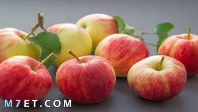 Photo of كم عدد السعرات الحرارية في التفاحة؟
