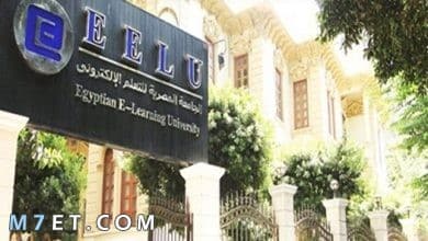 Photo of معلومات عن الجامعة المصرية للتعلم الإلكتروني