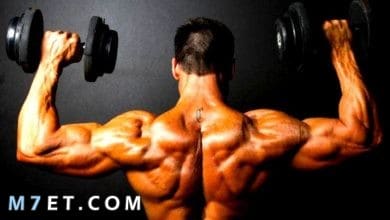 Photo of كيفية بناء العضلات في شهر