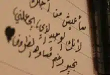 Photo of عبارات تويتر وأجمل عبارات سنابيه راقية