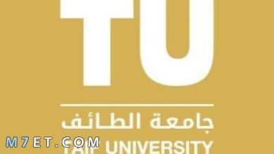 Photo of جامعة الطائف المنظومة بلاك بورد