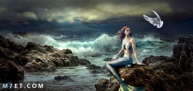 أسطورة عروسة البحر الخياليّة