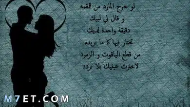 Photo of أجمل وأقوي شعر عن الحب والعشق 2023