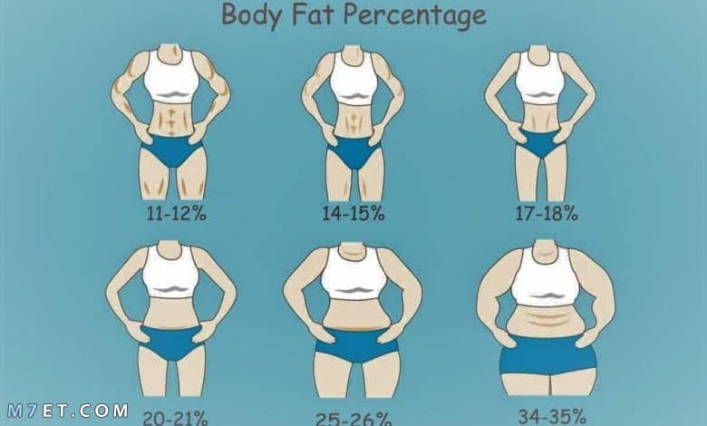 شكل الجسم حسب نسبة الدهون