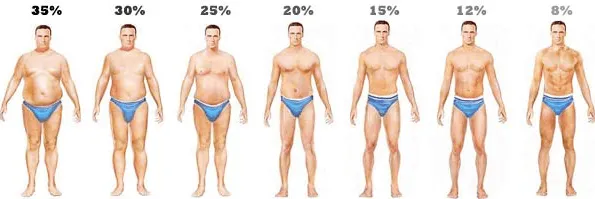 شكل الجسم حسب نسبة الدهون