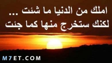 Photo of 100 من اجمل عبارات عن الحياة والناس