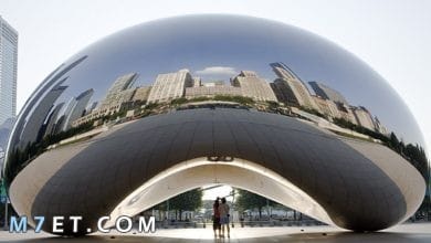 Photo of السياحة في شيكاغو