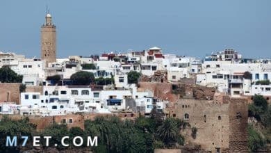 Photo of عاصمة المغرب واهم المعلومات عنها بالتفصيل